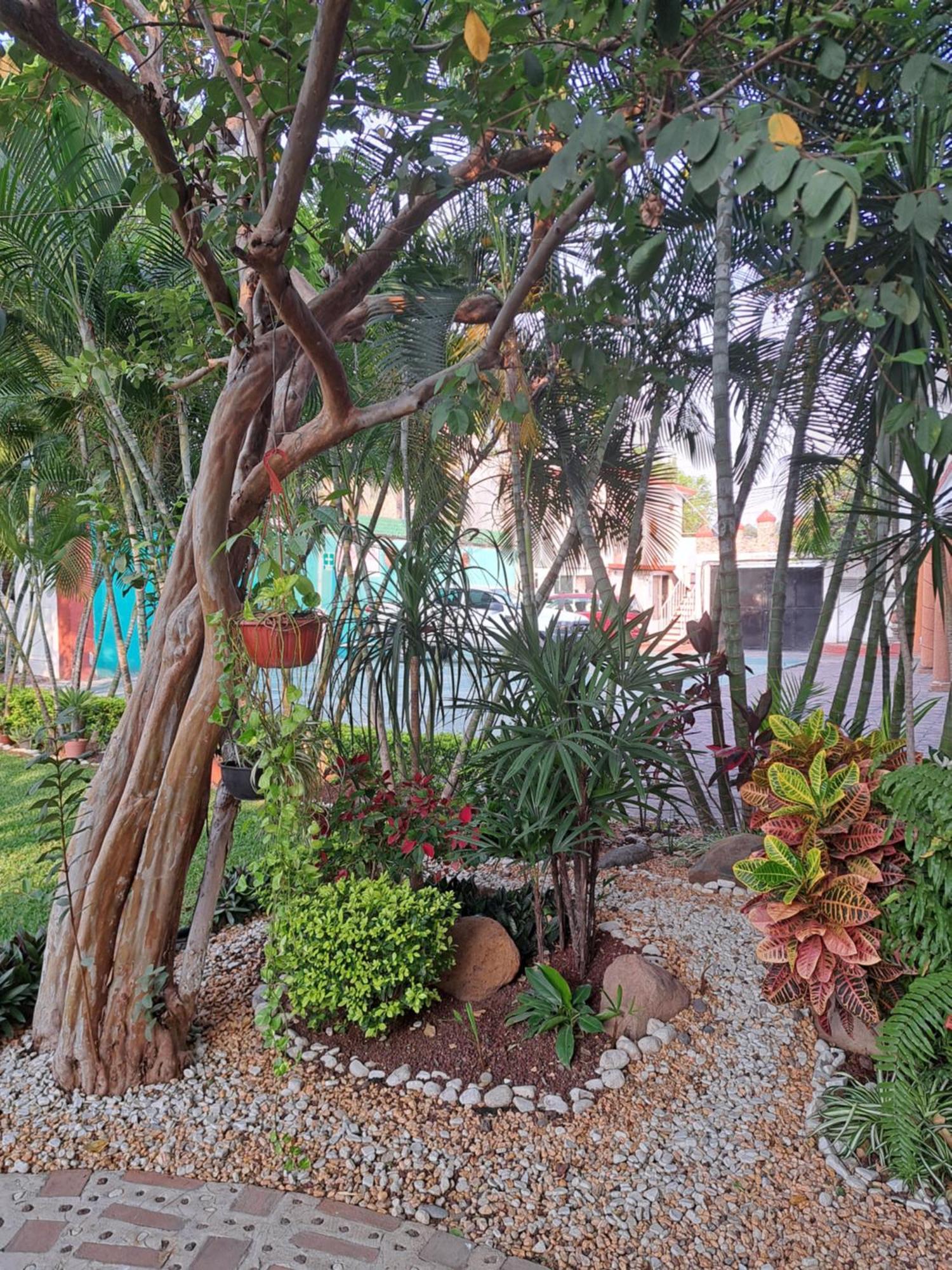 Hotel Quinta Paraiso Кокойок Экстерьер фото